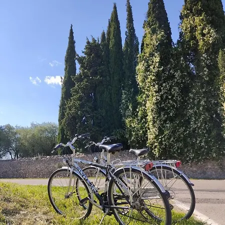 Casa Pepe Nocleg ze śniadaniem 3*